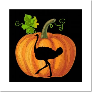 Ostrich in pumpkin Posters and Art